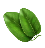 peanut-leaf